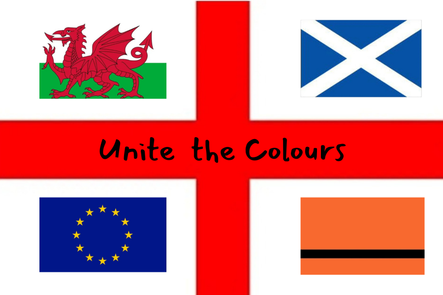 To ask you to explain the logic - Gary Neville and flags