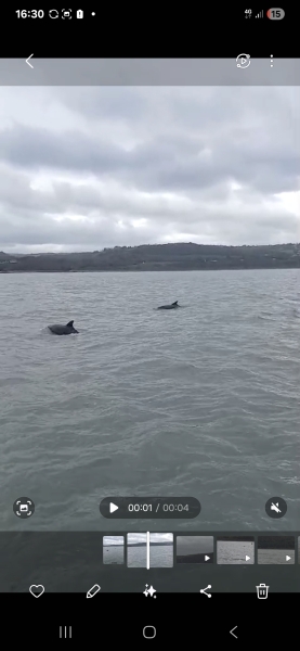 Mounjaro Feb 2025 starters (thread 7!)…