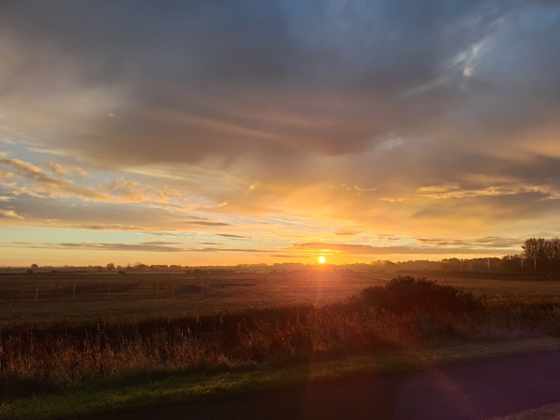 Year round Nigel Slater discussion thread Part 2