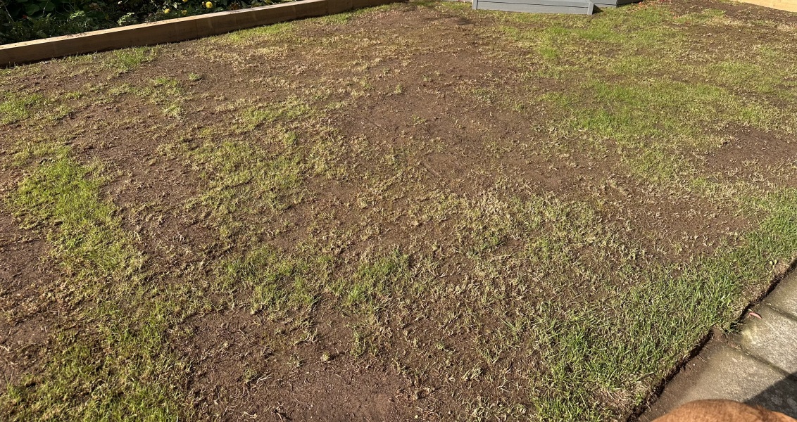 To have called out my gardener