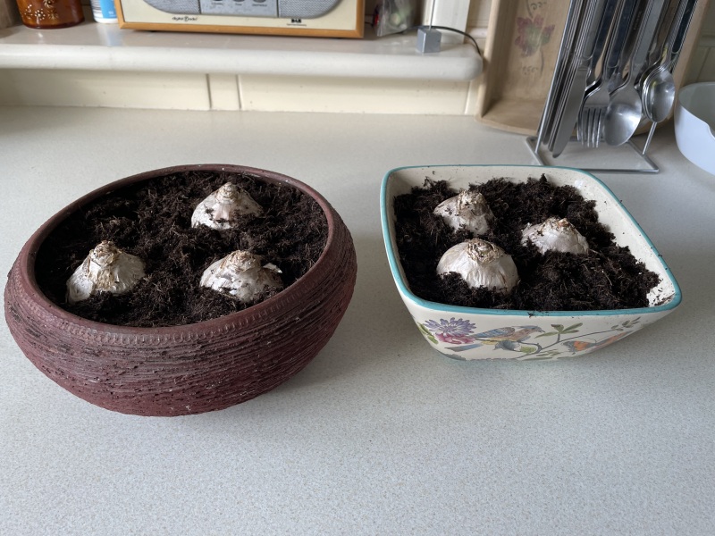 Year round Nigel Slater discussion thread Part 2