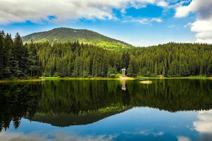 Ukraine Invasion: Part 58