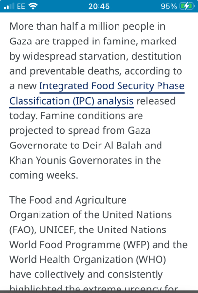 Why would would you still have pro Palestinian marches apart from now instilling more fear into the Jewish community