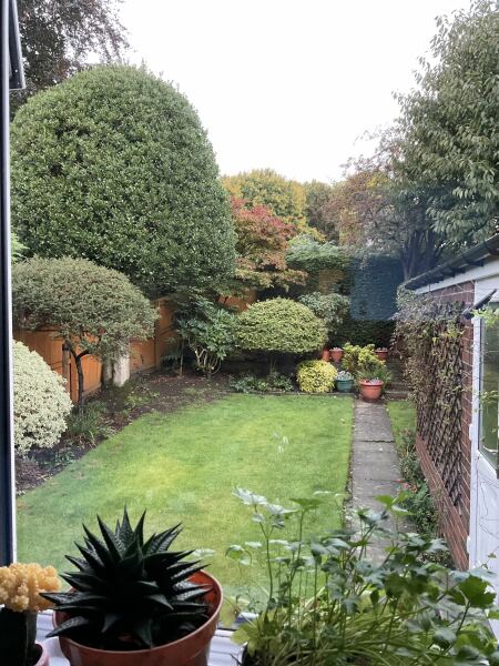 Year round Nigel Slater discussion thread Part 2