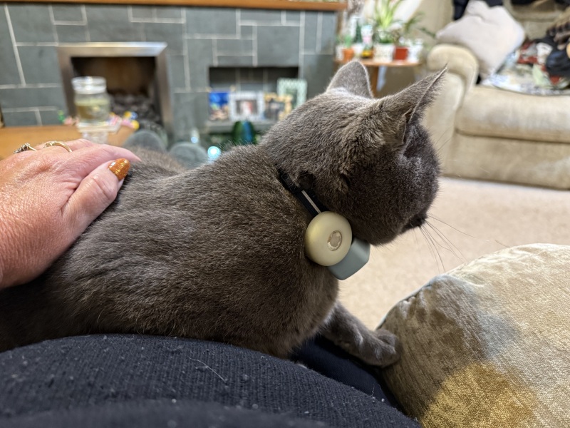 Help I need a Tracking Device for Cats