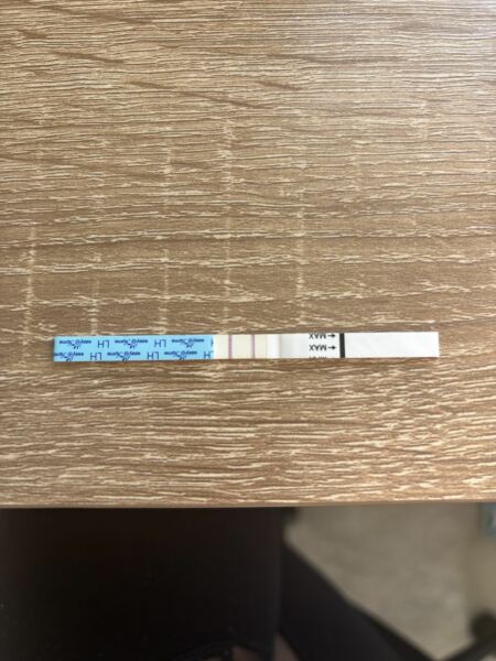 Positive OPK?