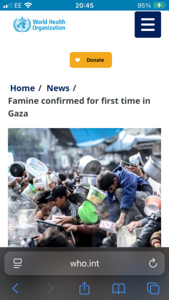 Why would would you still have pro Palestinian marches apart from now instilling more fear into the Jewish community