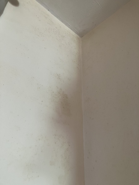 How do I get rid of this??