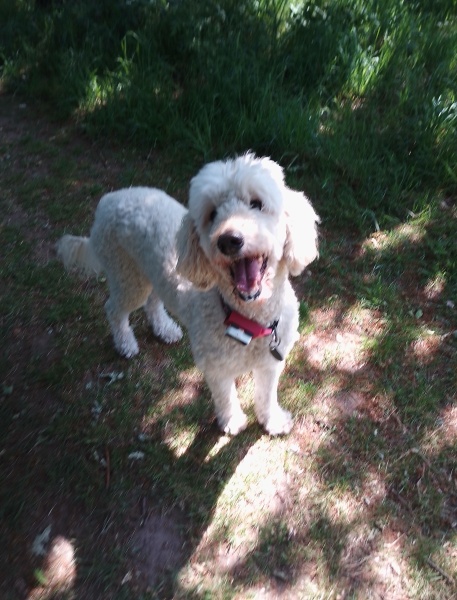 Could you cope with twin beds for one night?