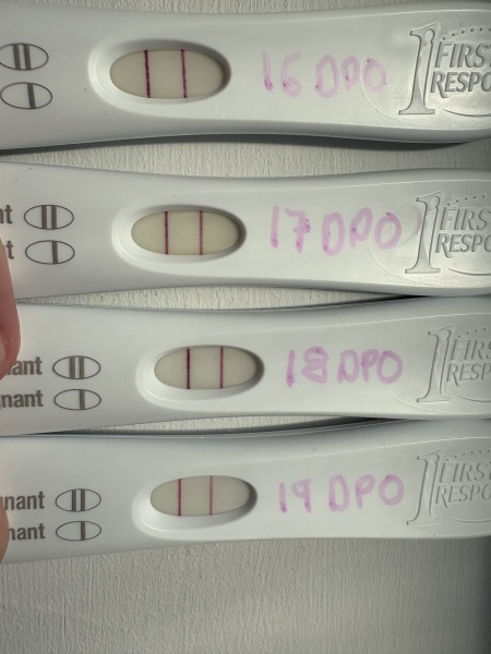 Lines lighter at 19dpo…
