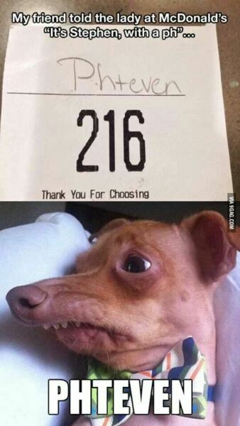 Celeb Traitors #3. The big dogs vs the cat, banshees, farts & what Claudia wore next.