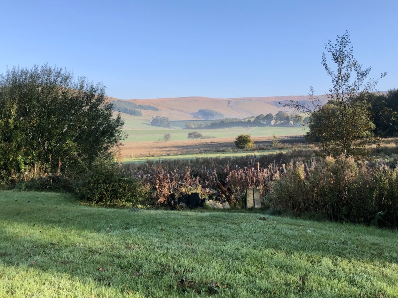 May 2025 Starters Thread 6 - We’re all totes protes now ✌️