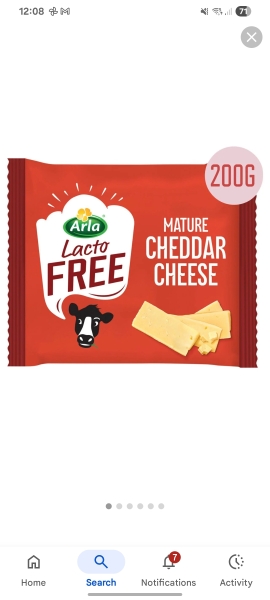 Vegan or Lactose free cheese recommendations please