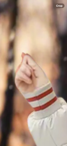 Jesse London Scam Company