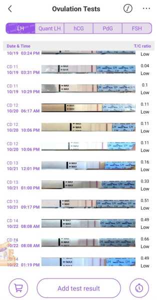 TTC TWW October 2025 🫶🏻