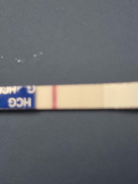 October FET