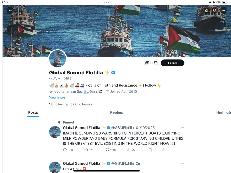The Flotilla and Greta - a PR disaster