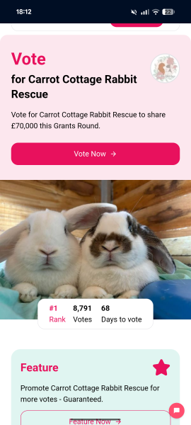 TRAs online attack on a bunny rescue