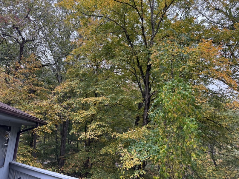 Come and tell us your dull and unexciting news 34: Calmly through the day