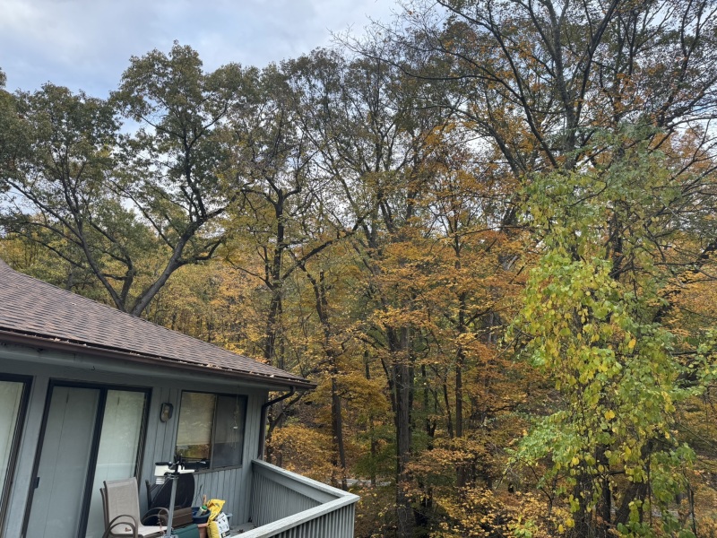 Come and tell us your dull and unexciting news 34: Calmly through the day