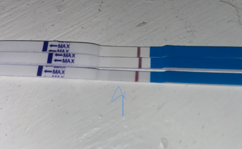 Review this test