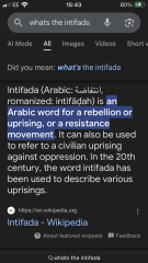 Why would would you still have pro Palestinian marches apart from now instilling more fear into the Jewish community