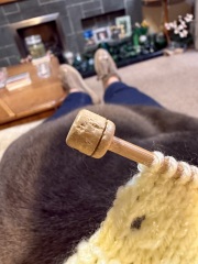 Scottish Tourism - the Excellent Cats debate Gizmo's suitability as a top influencer