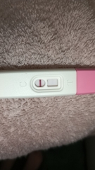 Chemical in March, 10dpo tests