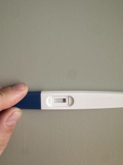 UTI giving a false positive?