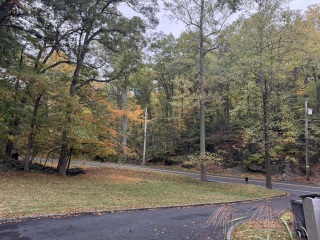 Come and tell us your dull and unexciting news 34: Calmly through the day