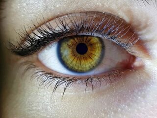 What colour are my DD's eyes?