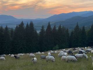 Ukraine Invasion: Part 58