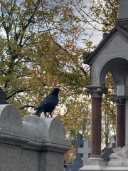 Year round Nigel Slater discussion thread Part 2