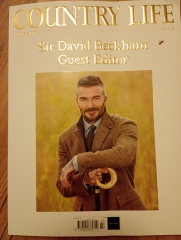 To want a Country Living lifestyle?