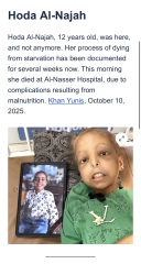 Why would would you still have pro Palestinian marches apart from now instilling more fear into the Jewish community