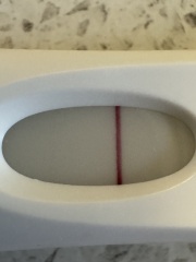 Wondfo vs FRER