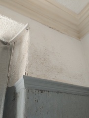 Damp near window