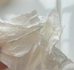 Is this fertile cervical mucus im confused as ovulation strip test is negative ?