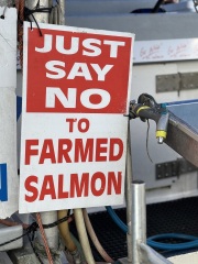 Come and tell us your dull and unexciting news 34: Calmly through the day