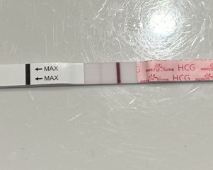 Chemical in March, 10dpo tests
