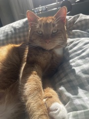 Can’t decide on a name!