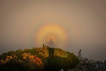 Ukraine Invasion: Part 58