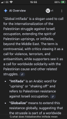 Why would would you still have pro Palestinian marches apart from now instilling more fear into the Jewish community