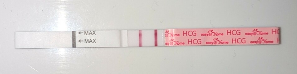 Bbt in early pregnancy - help?