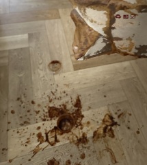 Spiralling because of this salsa explosion- pics