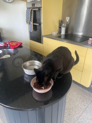 Cavendish Equipment stainless steel kitchen