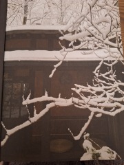 The Nigel Slater Christmas Chronicles Readalong 2025