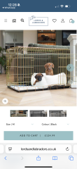 Puppy crate base or bed? Pics included