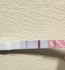 Ovulation test skinny line