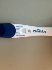 UTI giving a false positive?